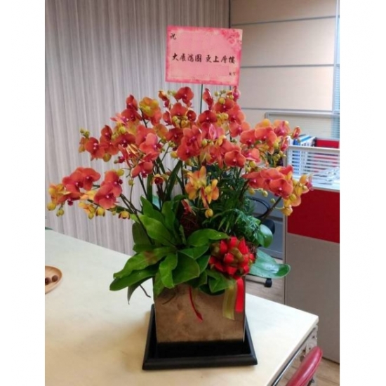 瑞靄華堂
