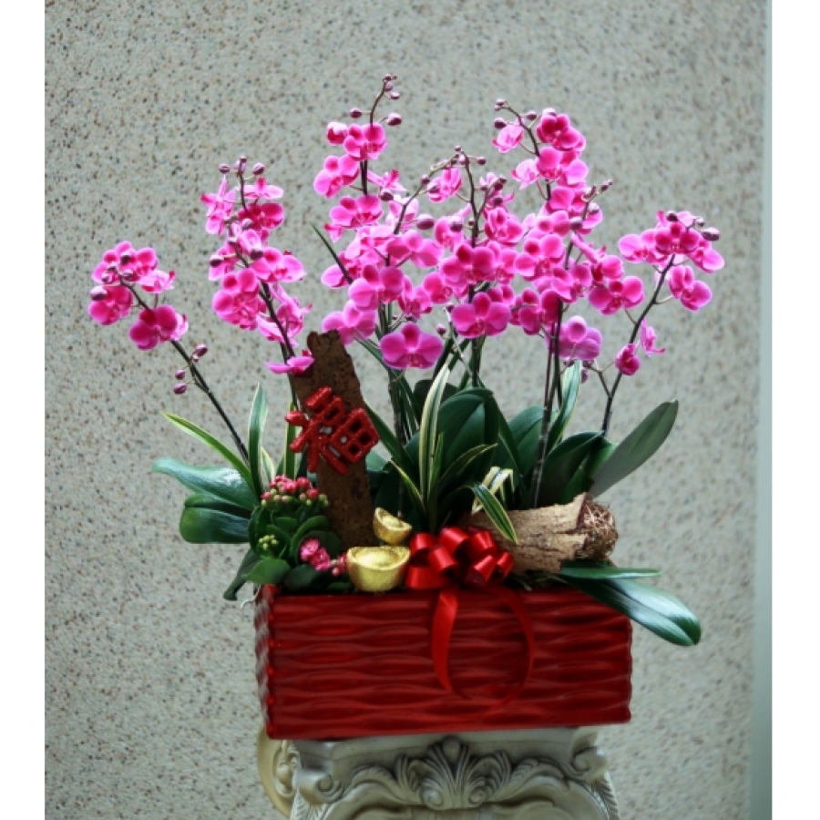 春暖花開