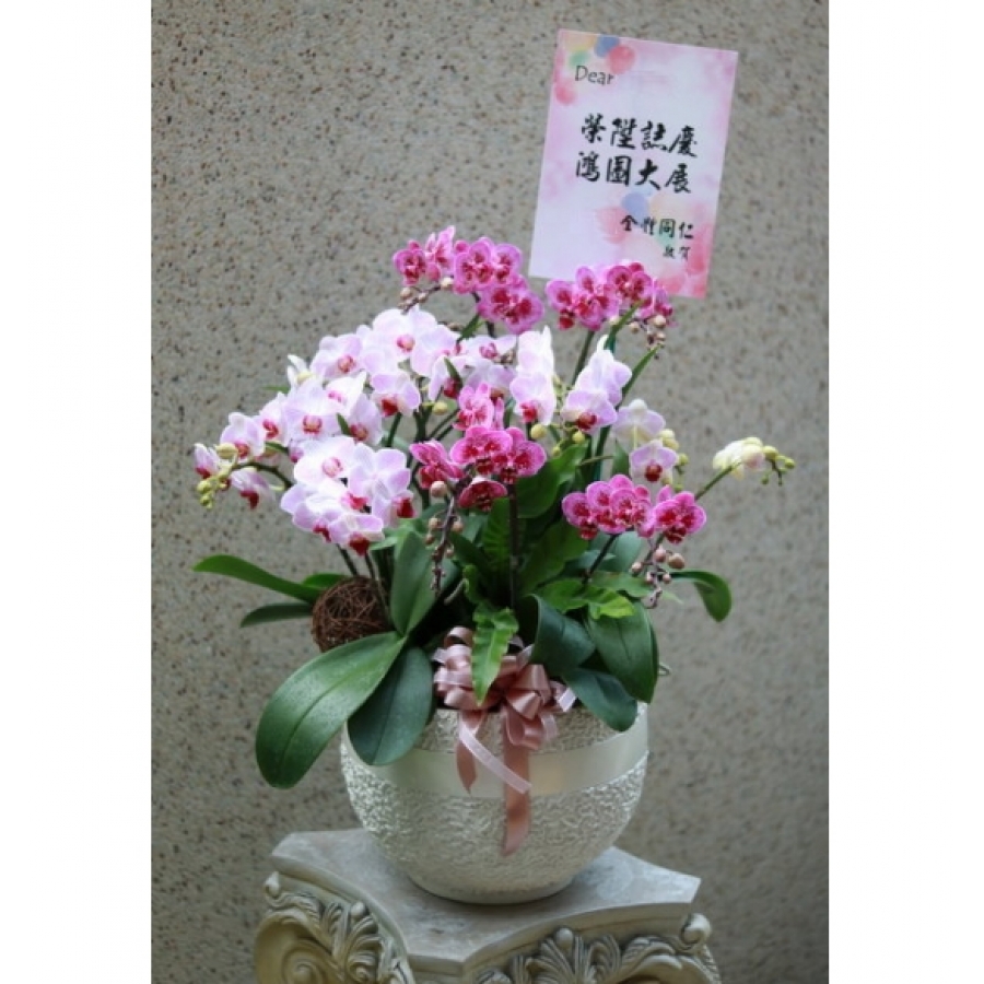賓至如歸
