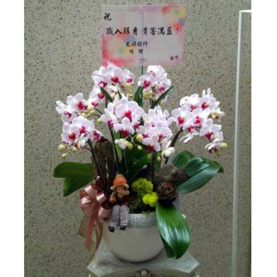 弘基永固