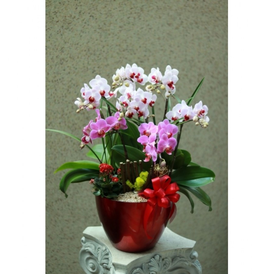 花好月圓